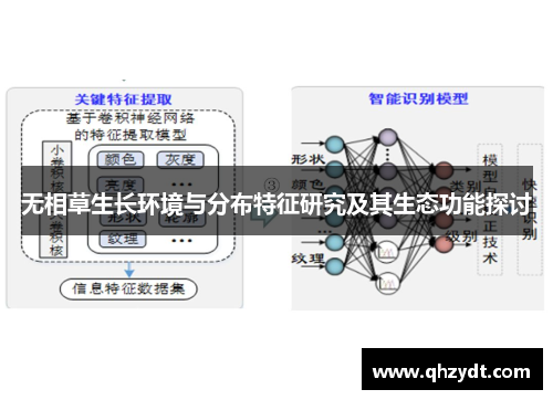 无相草生长环境与分布特征研究及其生态功能探讨